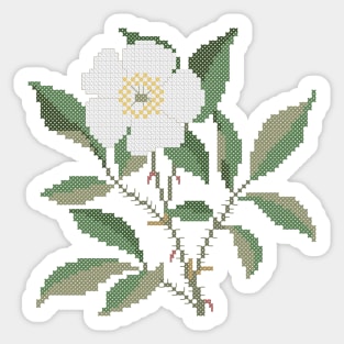 Georgia State Flower Cherokee Rose Sticker